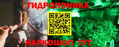 a pvp Абинск