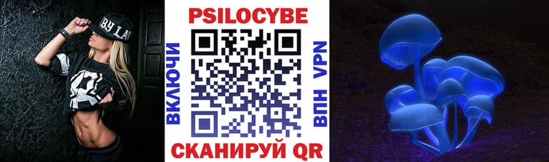 Псилоцибиновые грибы Psilocybe Воскресенск