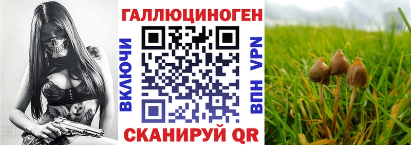 Галлюциногенные грибы мухоморы  купить наркотики сайты  Воскресенск 