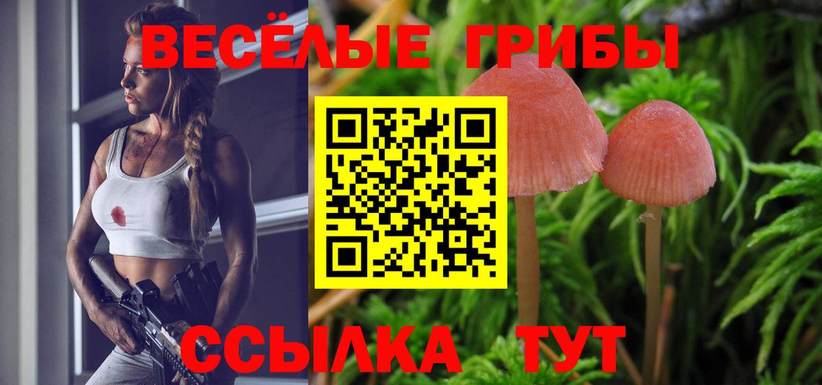 Псилоцибиновые грибы Psilocybine cubensis Воскресенск