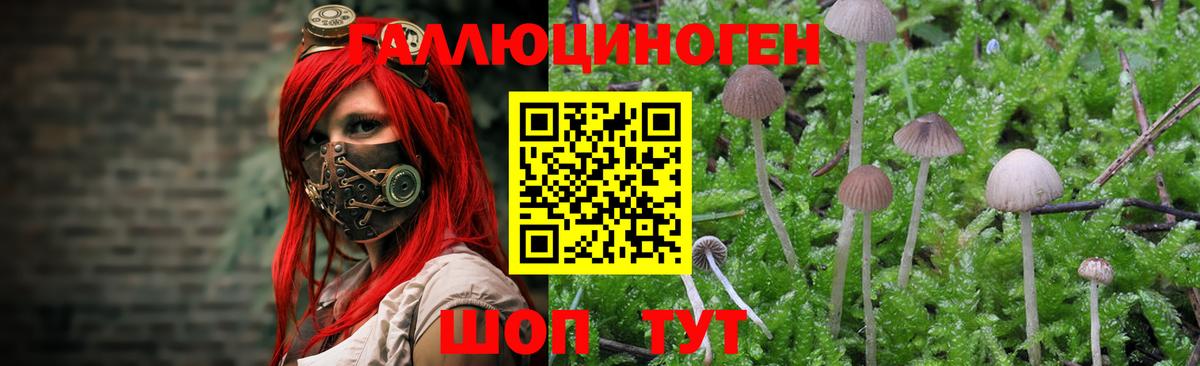 Галлюциногенные грибы мицелий  Воскресенск 